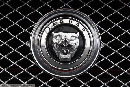 Гонки на Jaguar в Тушино
